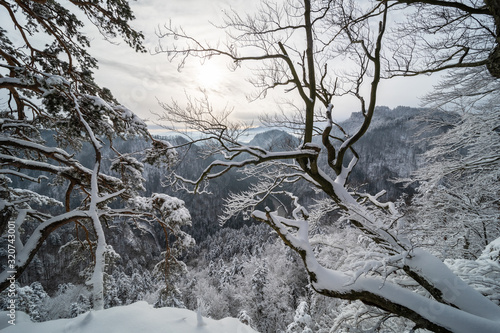 Pieniny Mountains winter view from Sokolica, Poland
