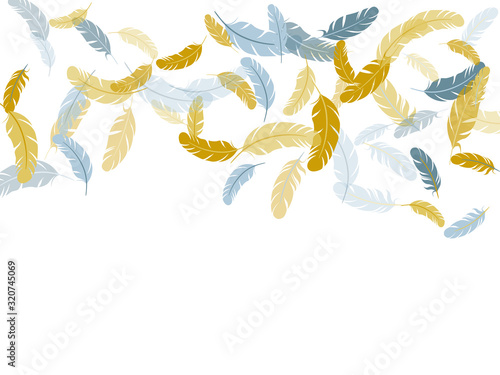 Detailed majestic feather on white design.