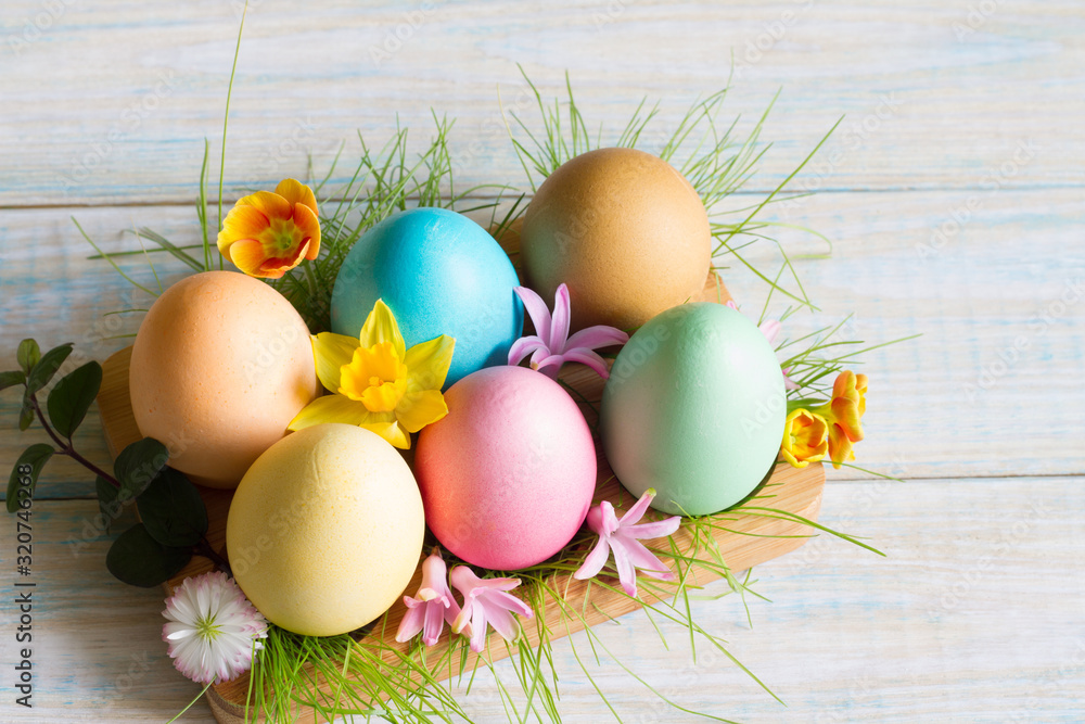 Obraz premium Easter colorful eggs with spring flowers blossom and green grass still life floral concept