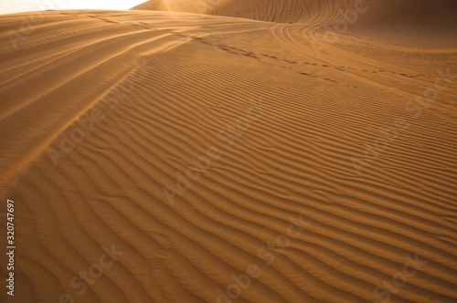 Desert Sand Dunes and People © sergograph