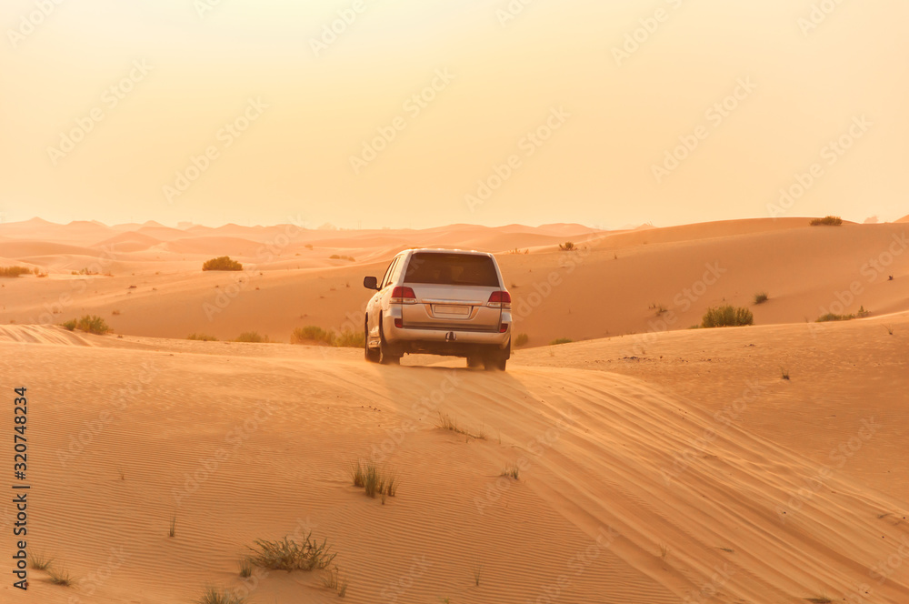 Desert Sand Dunes Off-Road Adventure