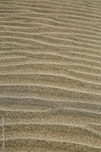 A zebra pattern in the sand