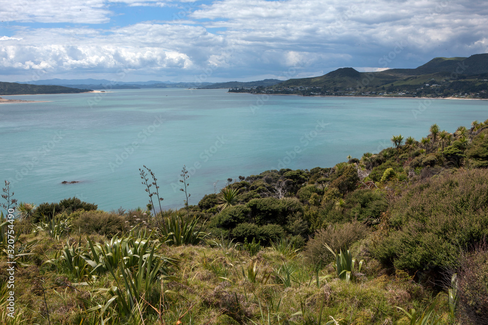 Arai te Uru Hokianga River New Zealand. Martins Bay