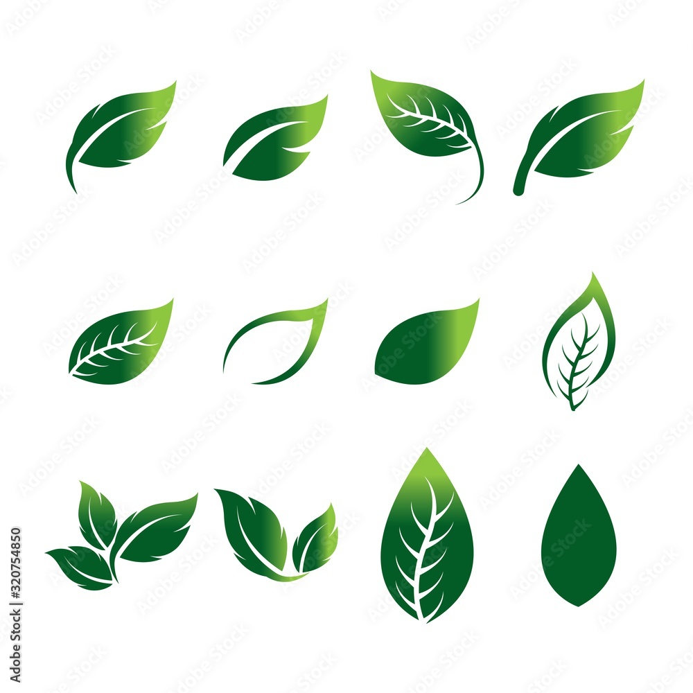 Green leaf ecology nature element vector icon - obrazy, fototapety, plakaty 