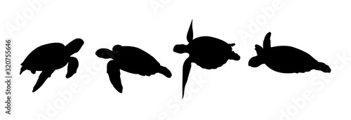 Green sea turtle silhouette 01. Good use for symbol, logo, web icon, mascot, sign, or any design you want.