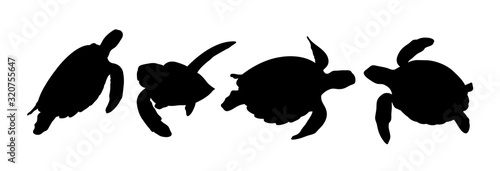 Green sea turtle silhouette 02. Good use for symbol, logo, web icon, mascot, sign, or any design you want.