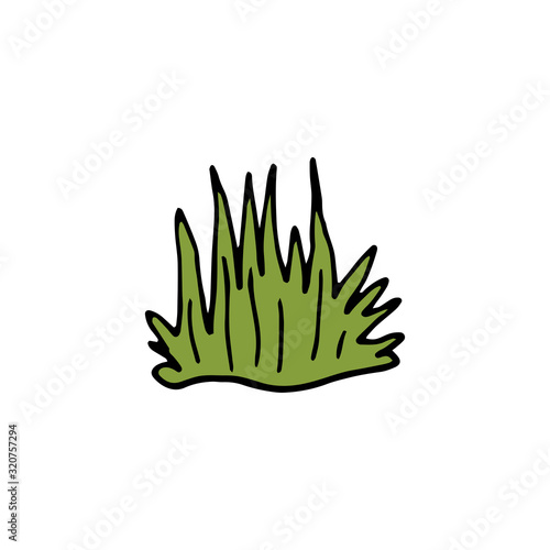 Fototapeta Naklejka Na Ścianę i Meble -  Single hand drawn herbal element on a white isolated background. Doodle, illustration simple outline. It can be used for decoration of textile, paper and other surfaces.