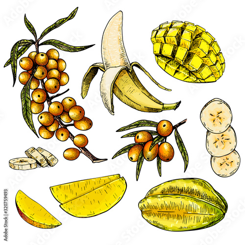 Hand drawn set of yellow tropical fuits. Vector colored isolated objects. Sea buckthorn branch and berry, banana, mango, starfruit or carambola. Restaurant menu, food package. Summer exotic harvest.