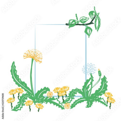 Floral decorative card with dandelion and place for your text  vector image