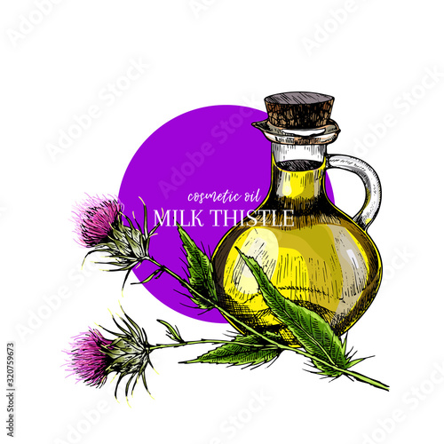 Hand drawn set of essential oils. Vector milk thistle flower. Medicinal herb with glass dropper bottle. Engraved coloredart. Cosmetics, medicine, treating, aromatherapy, package design healthcare. photo