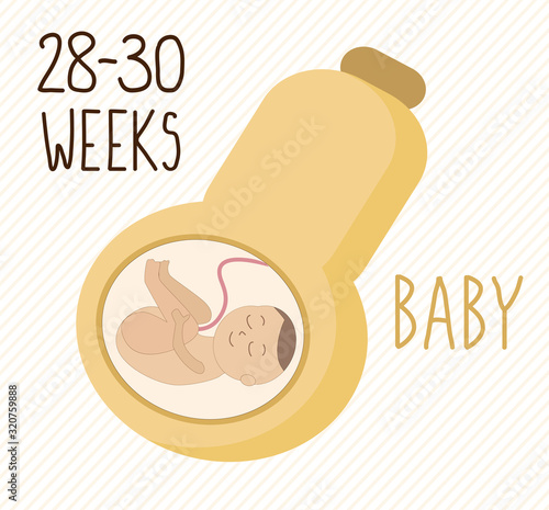 Pumpkin. pregnancy development, size of embryo for weeks. compare with vegetables.