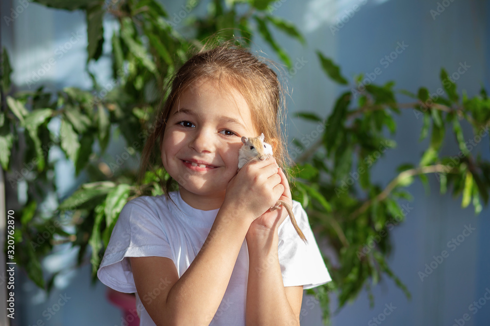 Fototapeta premium A girl in a white T-shirt holds a Mongolian gerbil on her hand. Baby and domestic mouse maintenance