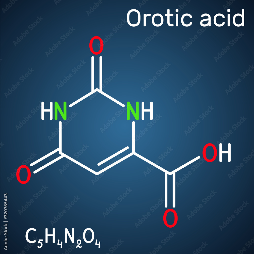 Orotic acid molecule. It is a pyrimidinedione and a carboxylic acid. Structural chemical formula on the dark blue background Orotic acid molecule. It is a pyrimidinedione and a carboxylic acid. Structural chemical formula on the dark blue background