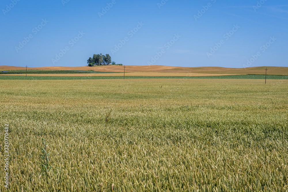 Fields near Gryfice city located in West Pomerania region of Poland
