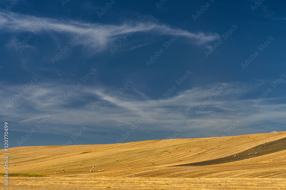 Fototapeta premium Rural landscape in Basilicata at summer