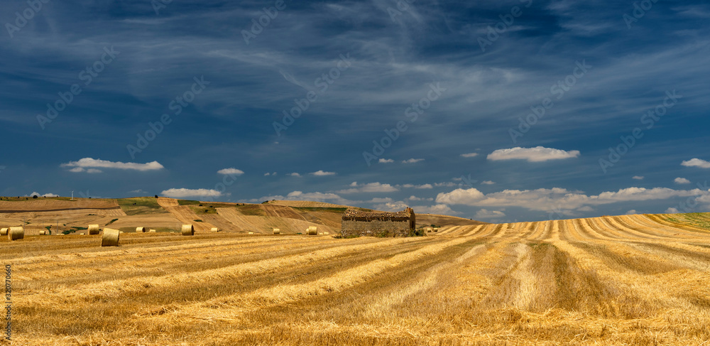 Fototapeta premium Rural landscape in Basilicata at summer