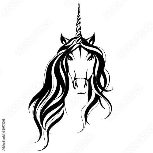 Unicorn vectir illustration. Magic horse isolated on white background photo