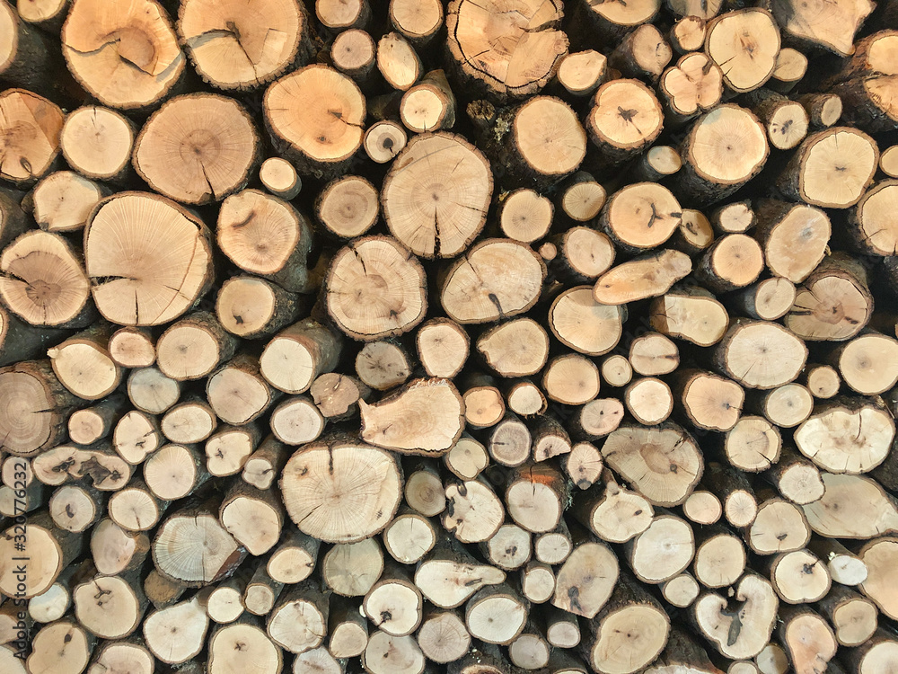 Deforestation Deforestation