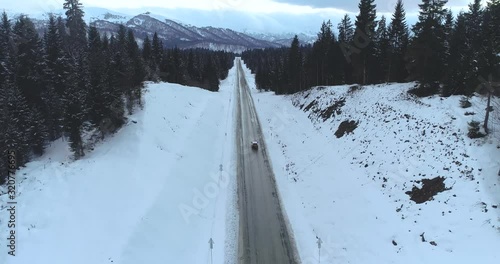 Police car rush after somebody in snowy countryside. Aerial view of spruce forest 