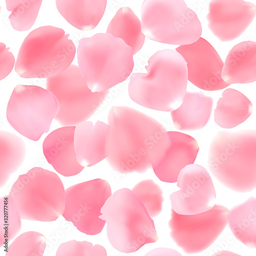 Seamless pattern with realistic pink rose petals isolated on white background. 