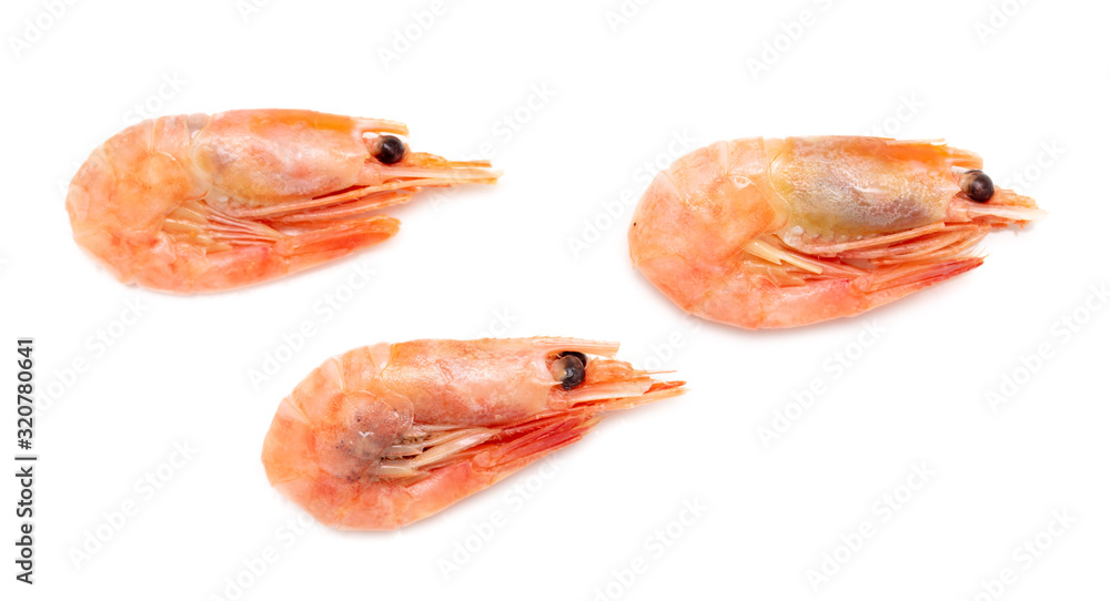 Red shrimp isolated on a white background Red shrimp isolated on a white background