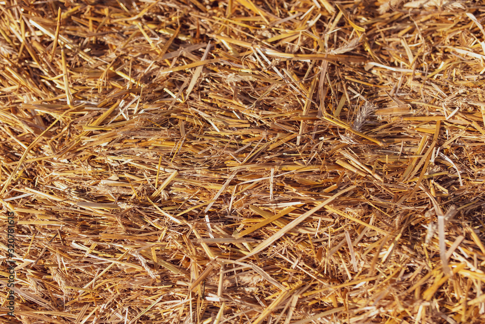 Stack of dry hay as an abstract background