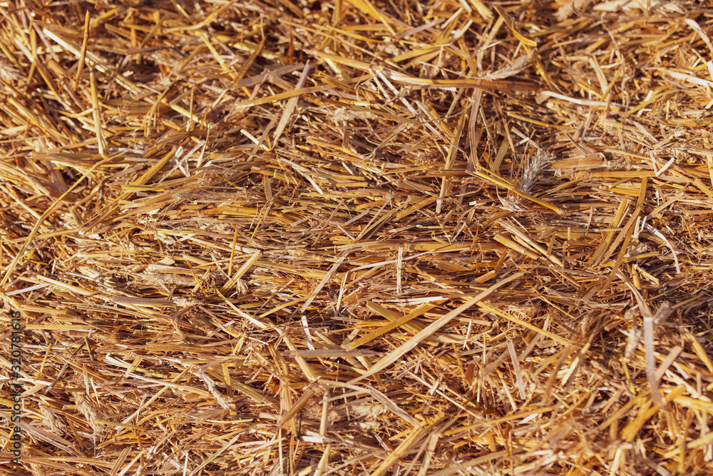 Stack of dry hay as an abstract background Stack of dry hay as an abstract background