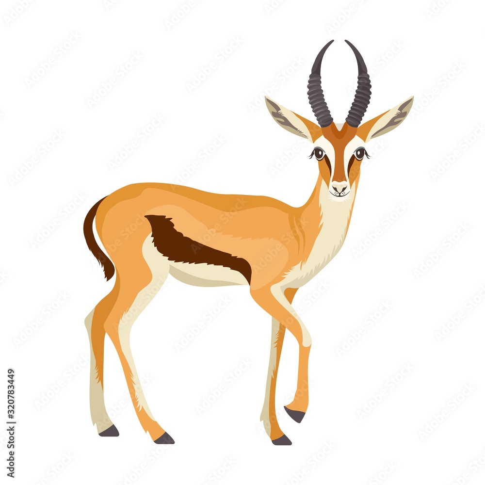 Obraz premium Gazelle or antelope with horn. African mammal animal in wildlife. Vector