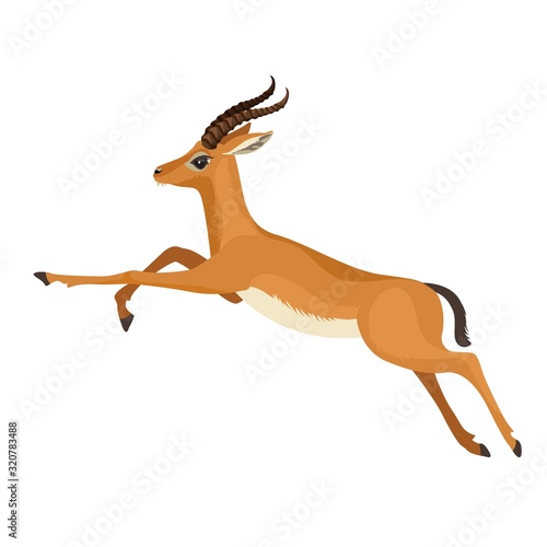 Gazelle or antelope with horn running in wildlife. African mammal animal. Vector