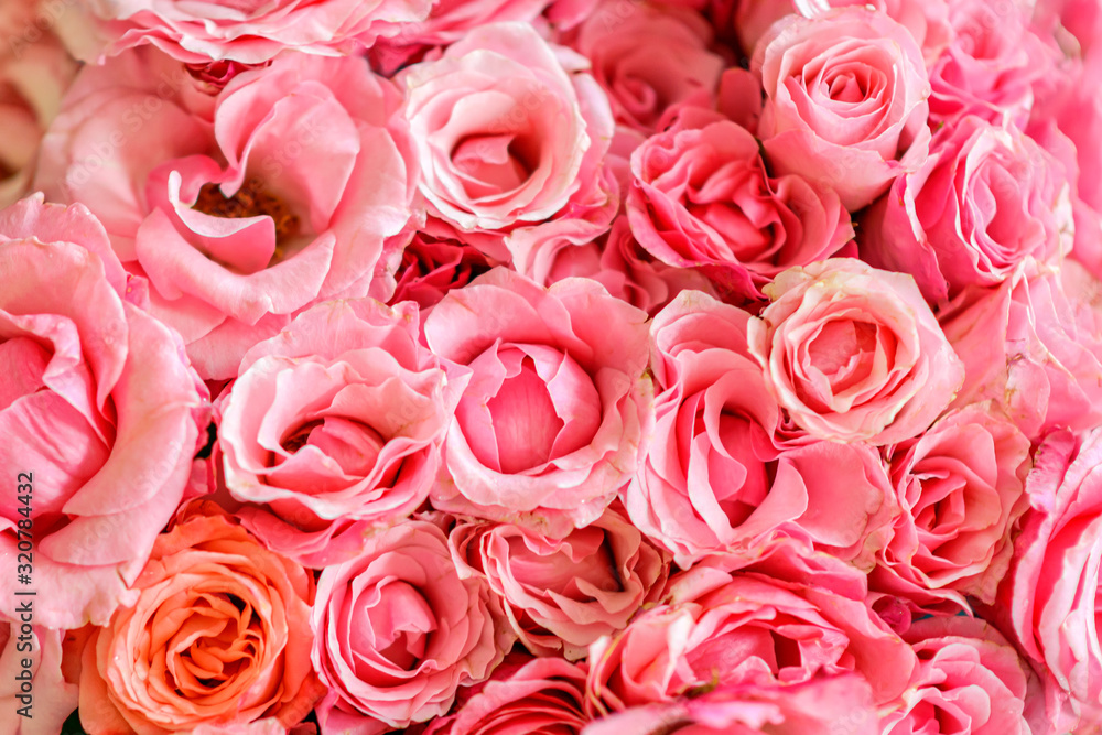 bouquet of pink roses bouquet of pink roses