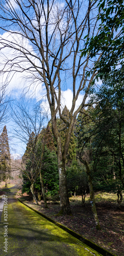 立春の候　樹木公園の風景