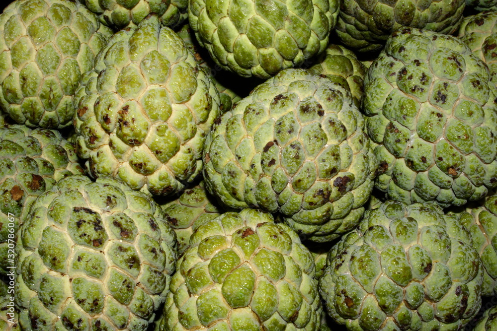 Obraz premium The Custard-apple (Annona reticulata), known in English as bullock's heart or bull's heart, and in Hindi as sitaphal or Sita's fruit,.
