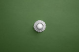 Bright white shuttlecock. Professional sport equipment isolated on green studio background. Concept of sport, activity, movement, healthy lifestyle, wellbeing. Modern colors.