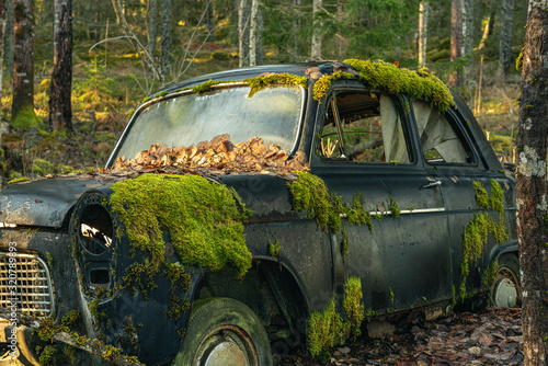 Fotografie Mossy old car abandoned in a forest in Sweden