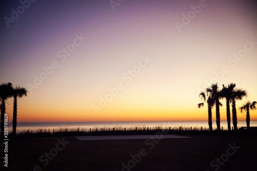 silhouette of palm trees on the beach at sunrise