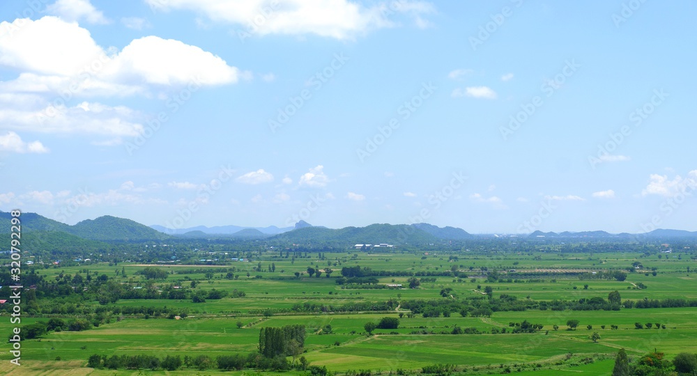 Green rice field with mountains under blue sky. The fields are grassy green.It's rainy season.Sky in the rainy season