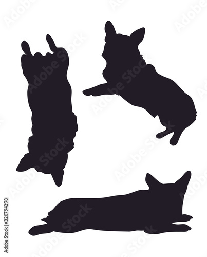 Vector illustration of corgi dogs drawing silhouette