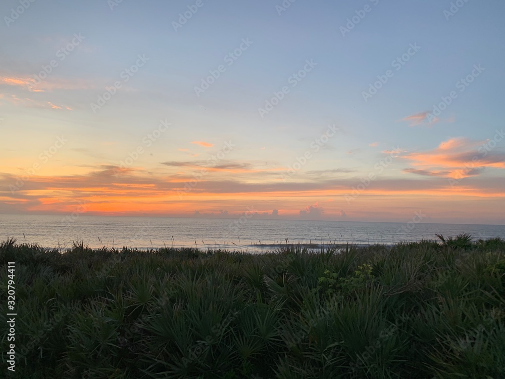 Fototapeta premium sunset over green field