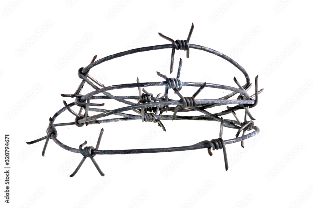 barbed wire isolated on white background barbed wire isolated on white background