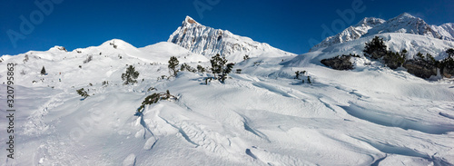 A thick blanket of frozen snow covers the slopes towards the San Bernardino pass in Switzerland. photo