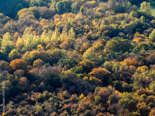 vue aérienne de la forêt à l'automne à Maudétour dans le Val d'Oise en france
