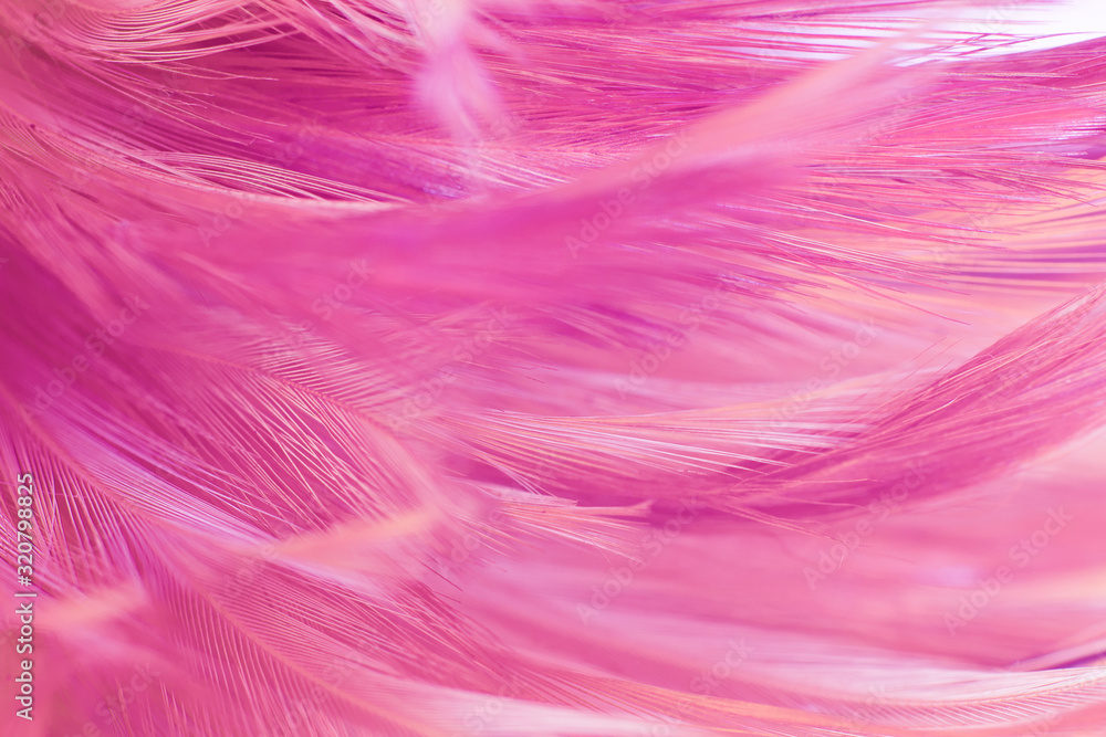 Fototapeta premium Beautiful purple color trends feather texture abstract background