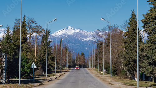 Road to the snowy mountains between trees photo