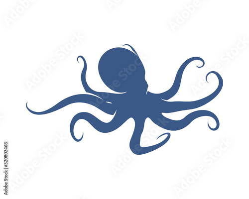 Octopus logo vector template. Isolated octopus design on white background. Illustration