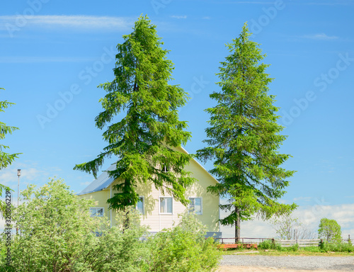 The wooden yellow house is among the trees against the blue sky in sunny weather.