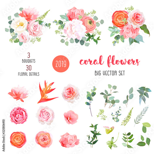 Orange ranunculus, pink rose, hydrangea, coral carnation, garden flowers