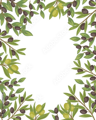 Olives black and green, twigs leaves and fruits of Olea europaea frame for poster vector illustration. Olives frame isolated on white backdrop with white space.