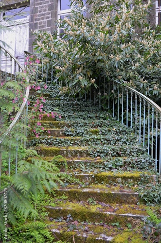 escalier naturel