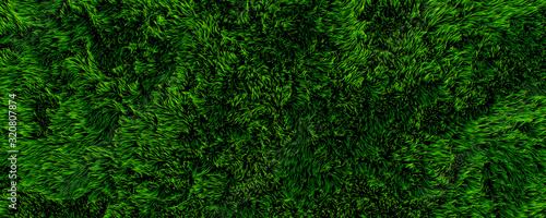 Abstrakt 3D Render grüner Rasen Hintergrund im Weitformat