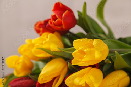 Yellow red flowers tulips fresh bouquet with green leaves and stem with wet drops of fresh water dew close up